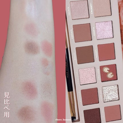 エクスプローラ12色 動物アイシャドウパレット/PERFECT DIARY/アイシャドウパレットを使ったクチコミ(7枚目)