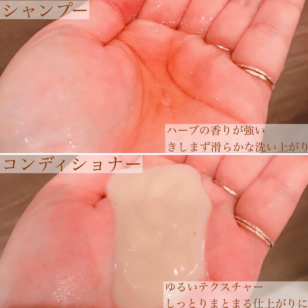 TEA REMEDIES RENEW シャンプー/TEA REMEDIES/市販シャンプーを使ったクチコミ(4枚目)