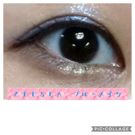 アリスドリームランドシリーズ 12色アイシャドウパレット(ZEESEA×大英博物館)/ZEESEA/アイシャドウパレットを使ったクチコミ(1枚目)