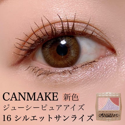 ジューシーピュアアイズ/キャンメイク/アイシャドウパレットを使ったクチコミ(1枚目)