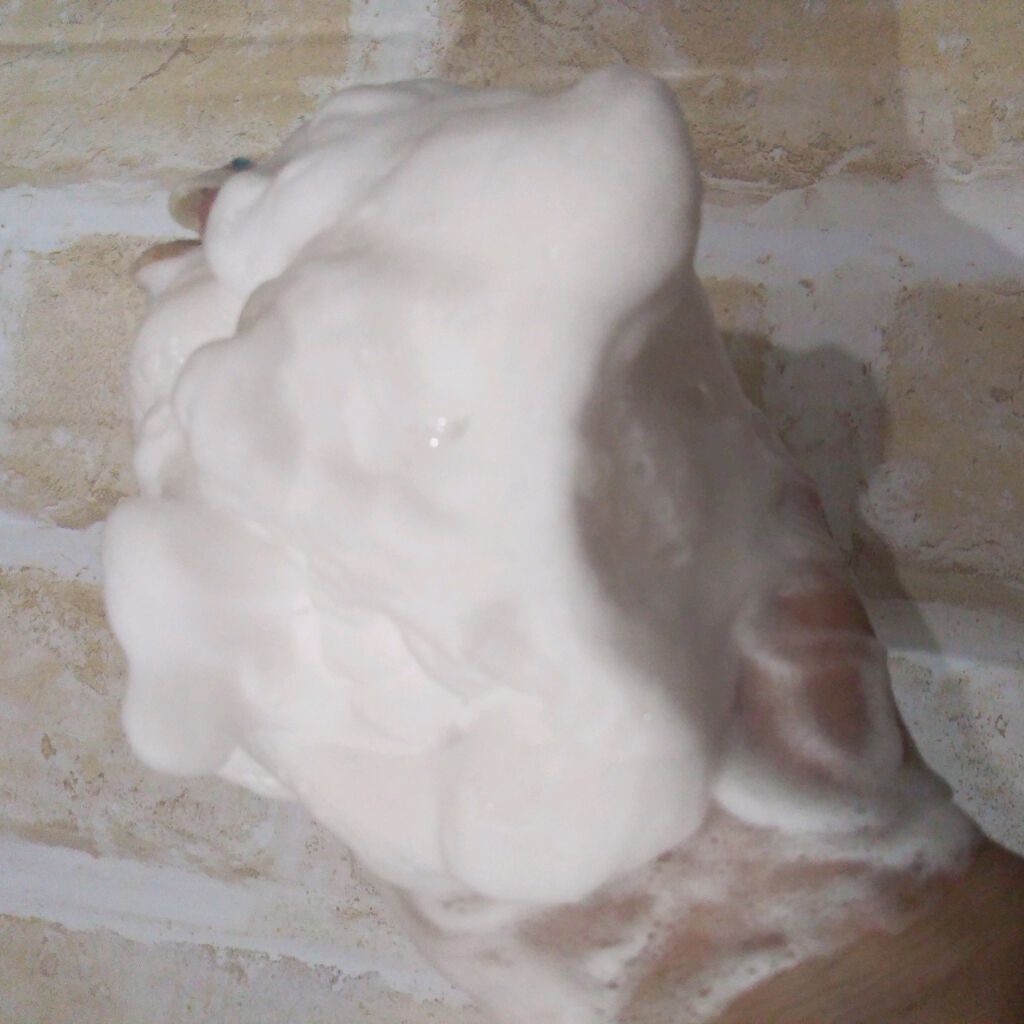 WRクレンジング洗顔 N/なめらか本舗/洗顔フォームを使ったクチコミ(3枚目)