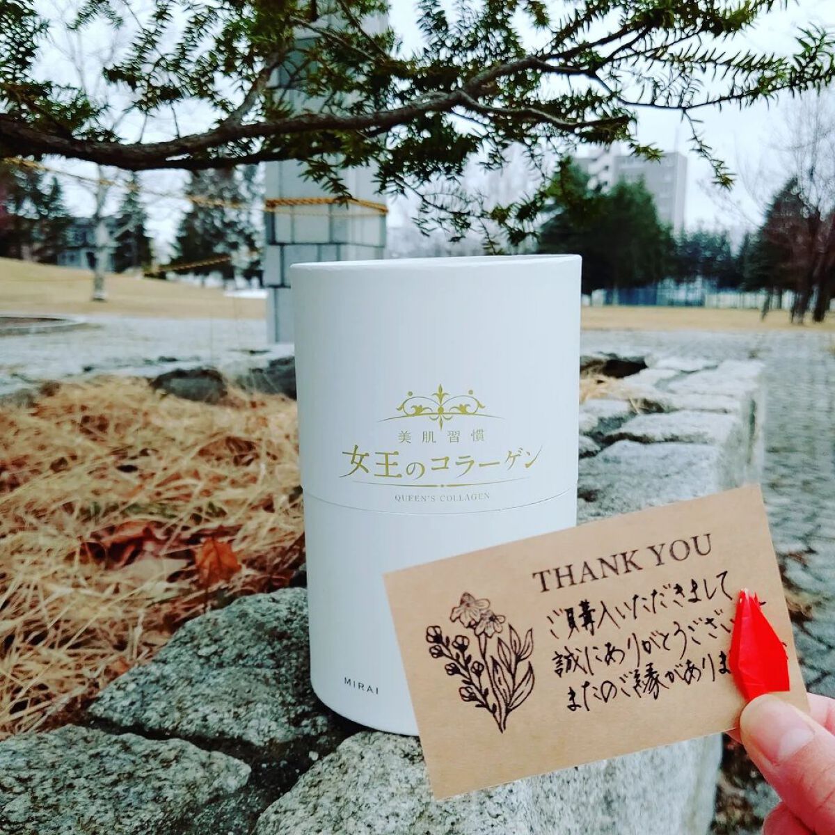 女王のコラーゲン/MIRAI/美容ドリンクを使ったクチコミ（1枚目）