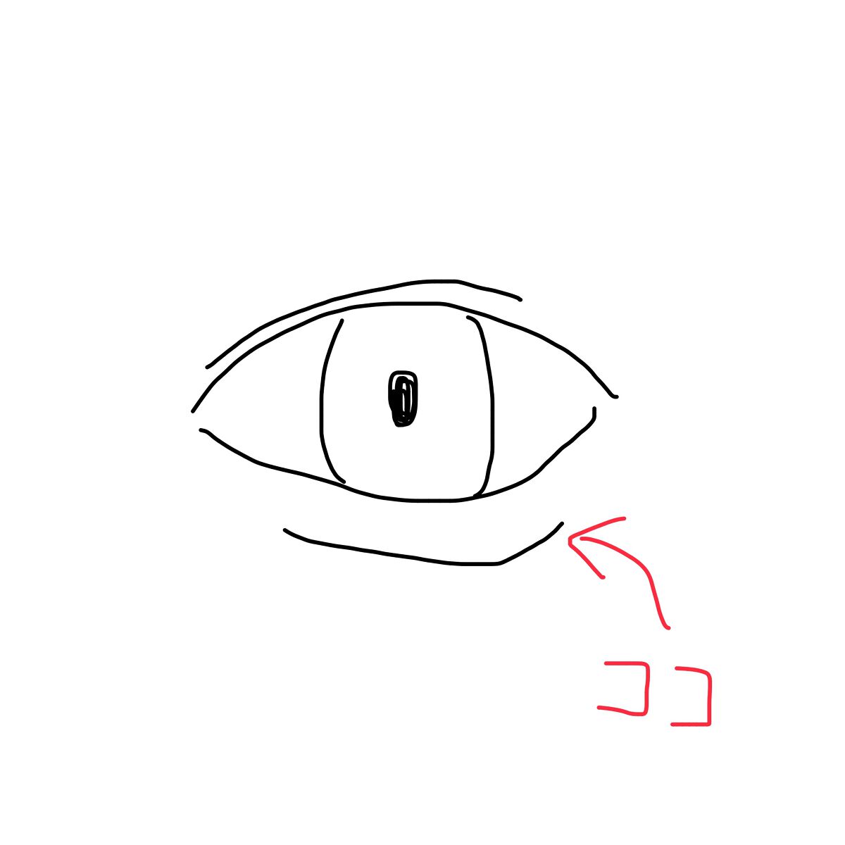 シルキースフレアイズ/キャンメイク/アイシャドウパレットを使ったクチコミ(4枚目)