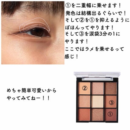 エアリータッチシャドウ/CEZANNE/アイシャドウパレットを使ったクチコミ(3枚目)