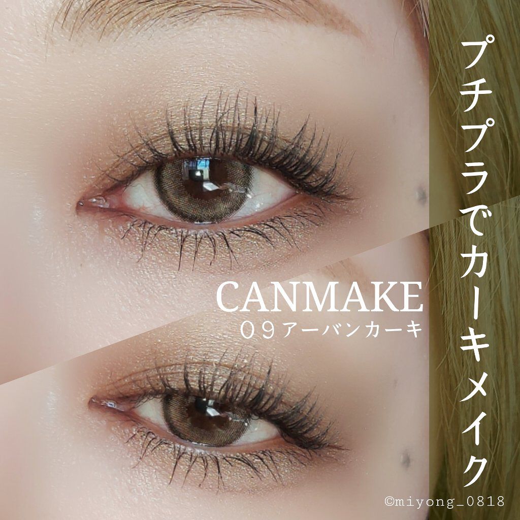 シルキースフレアイズ 09 アーバンカーキ/キャンメイク/アイシャドウパレットを使ったクチコミ（1枚目）