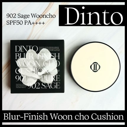 ブラーフィニッシュ雲楚クッション/Dinto/クッションファンデーションを使ったクチコミ(1枚目)