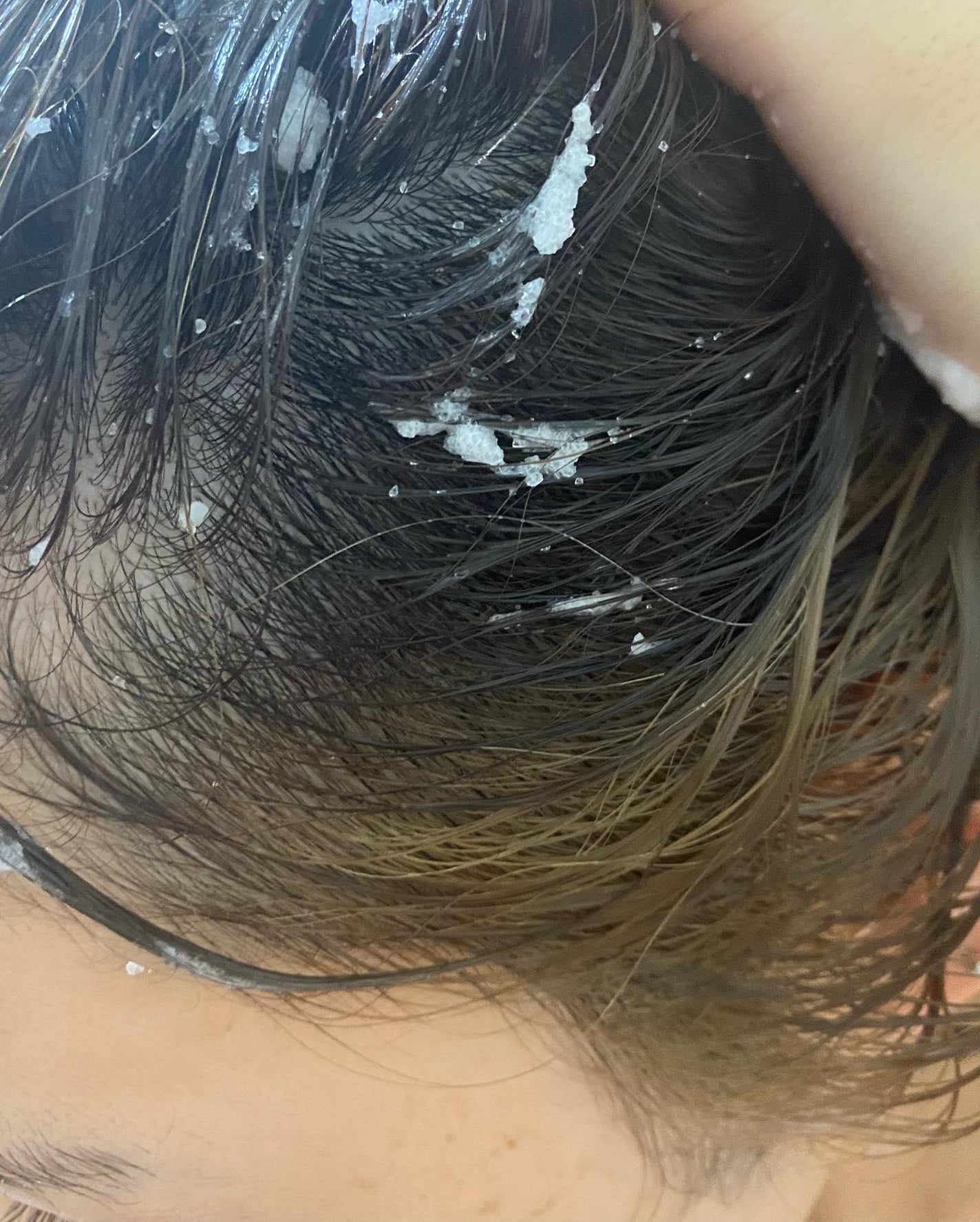 ヘッドスクラブ リフレッシング(ミント)/SABON/ヘッドスクラブを使ったクチコミ(4枚目)