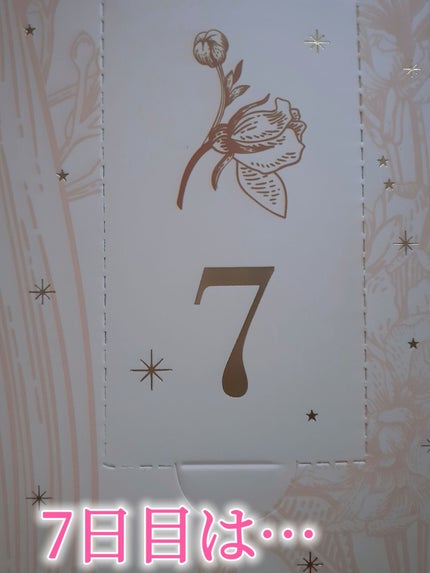 アドベントカレンダー /PEACH JOHN/その他キットセットを使ったクチコミ(2枚目)