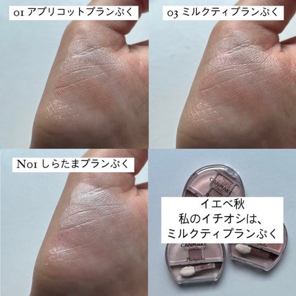 プランぷくコーデアイズ/キャンメイク/パウダーアイシャドウを使ったクチコミ(6枚目)