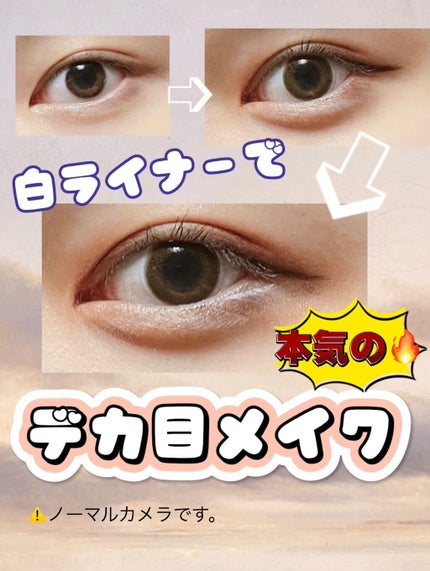 パーフェクトマルチアイズ/キャンメイク/アイシャドウパレットを使ったクチコミ(1枚目)