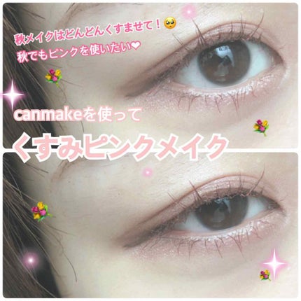 【旧品】パーフェクトスタイリストアイズ/キャンメイク/アイシャドウパレットを使ったクチコミ(1枚目)