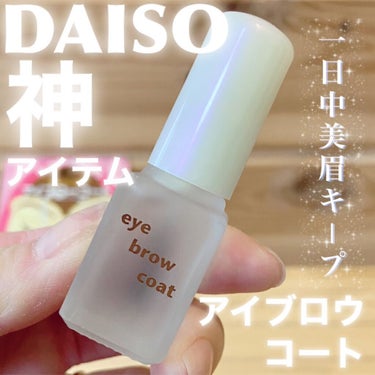 エバビレーナ アイブローコート/DAISO/アイブロウコートを使ったクチコミ（1枚目）