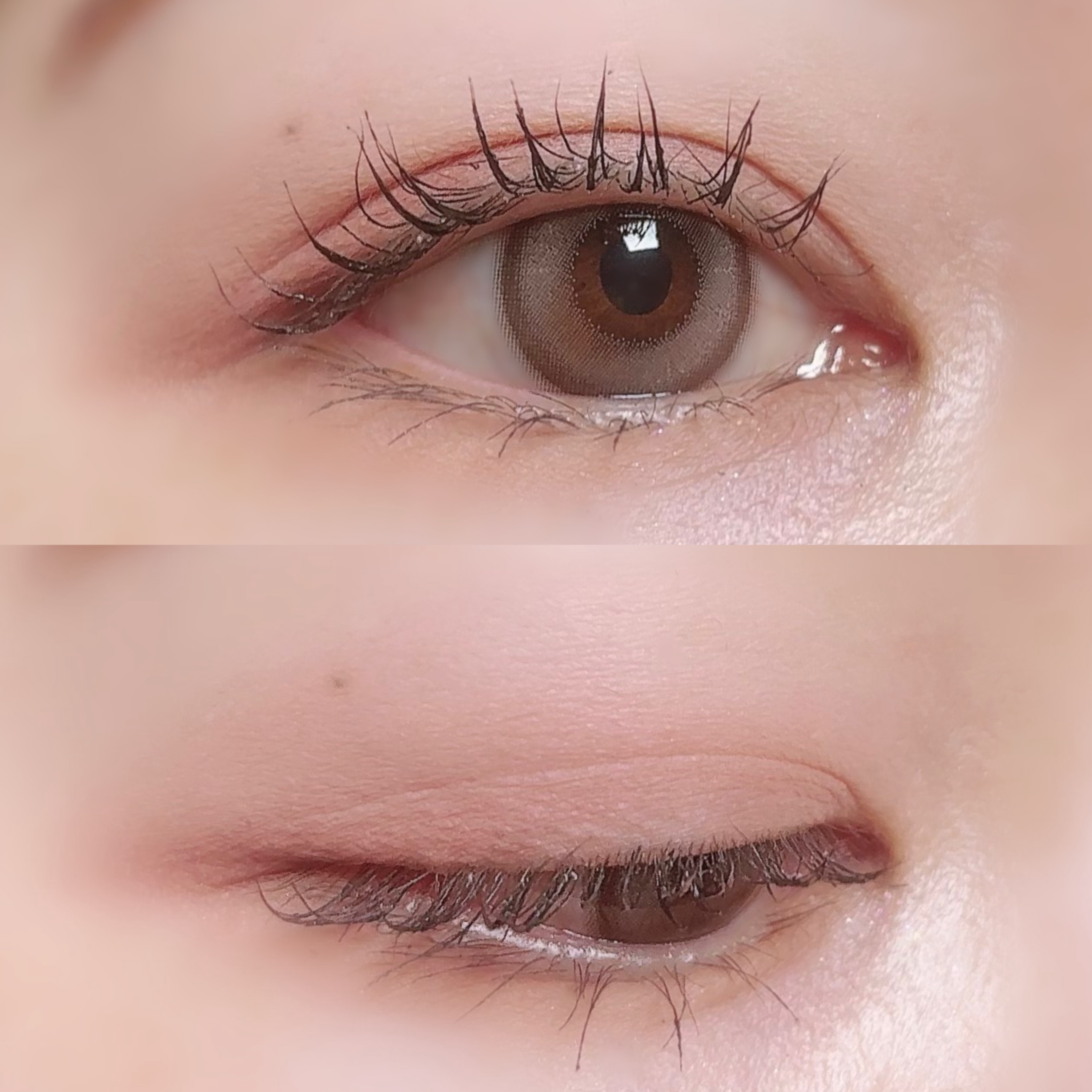 ブラーフィニシュシャドウパレット/Dinto/アイシャドウパレットを使ったクチコミ（3枚目）