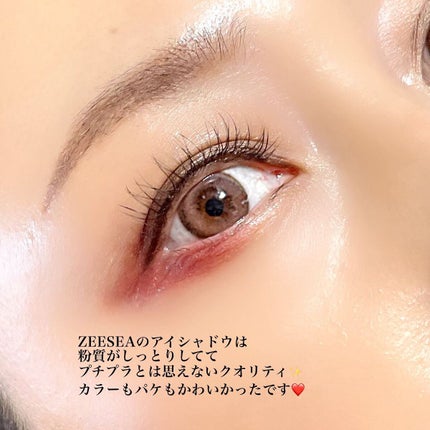 アニマルアイシャドウ(4シェード)/ZEESEA/アイシャドウパレットを使ったクチコミ(6枚目)