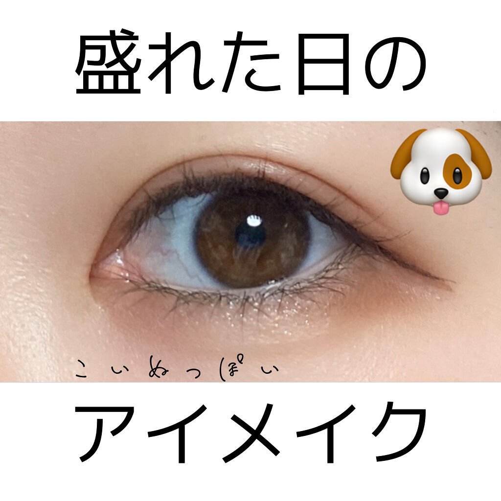 アイプランナー/excel/単色アイシャドウを使ったクチコミ（1枚目）