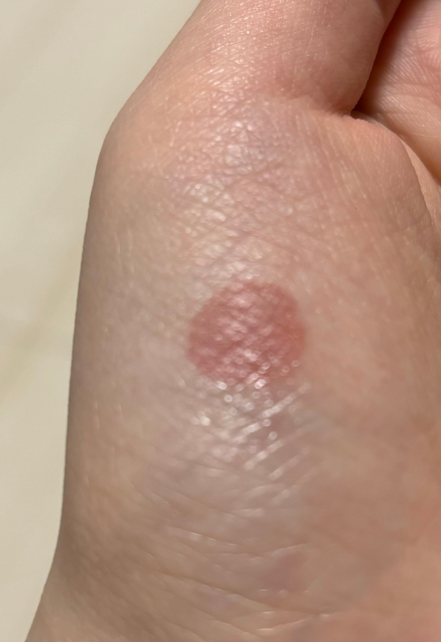 ジェルフィットティント/AMUSE/リップティントを使ったクチコミ(3枚目)