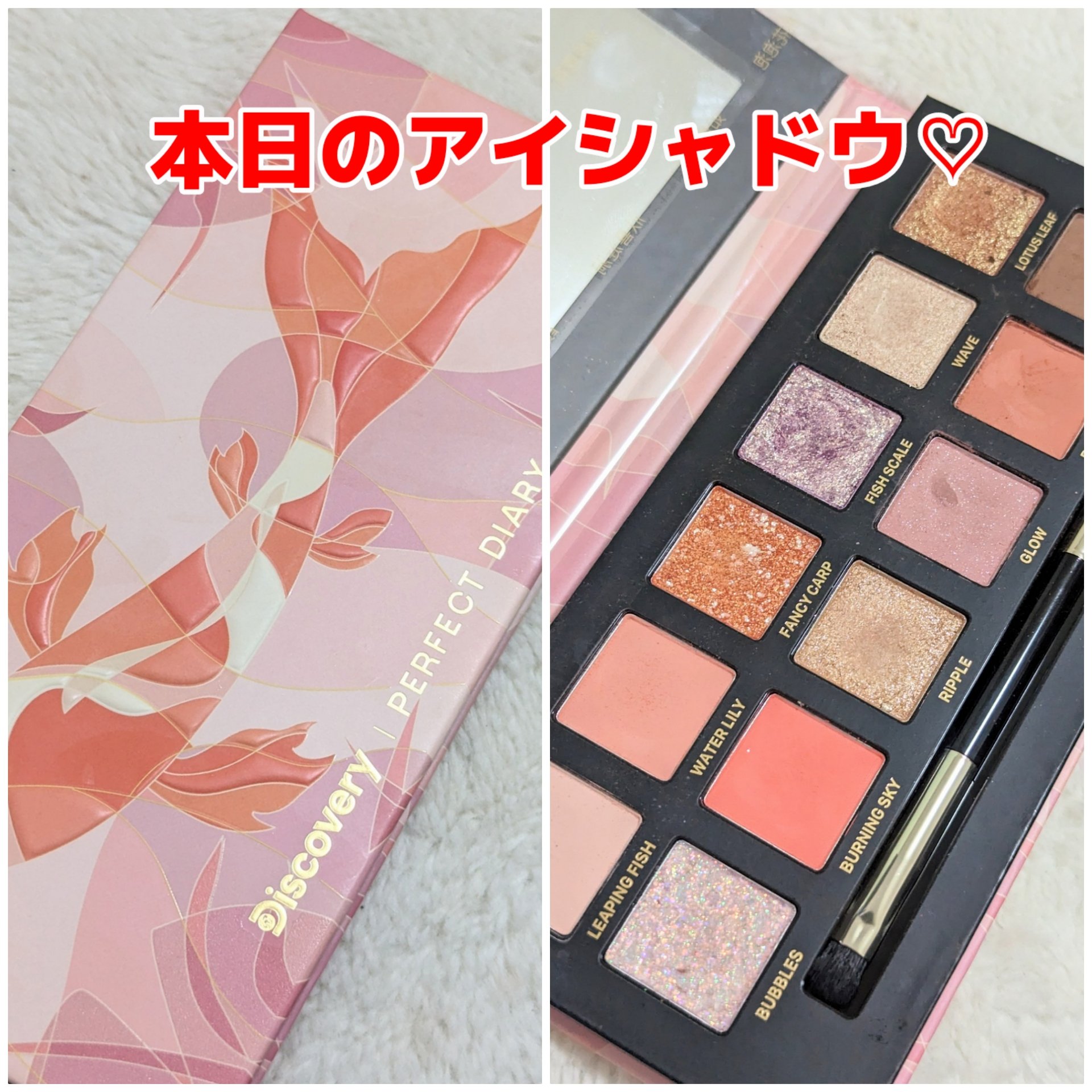 エクスプローラ12色 動物アイシャドウパレット 鯉/PERFECT DIARY/アイシャドウパレットを使ったクチコミ（1枚目）