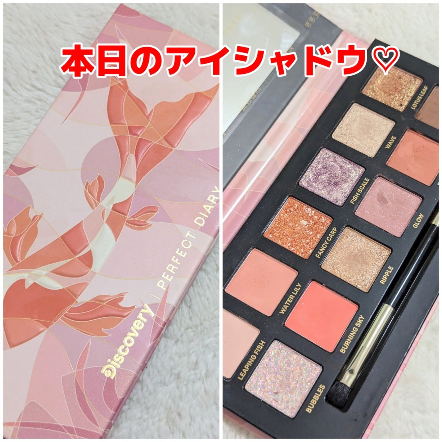 エクスプローラ12色 動物アイシャドウパレット/PERFECT DIARY/アイシャドウパレットを使ったクチコミ(1枚目)