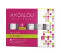Andalou Naturals 5 skin care essentials Kit