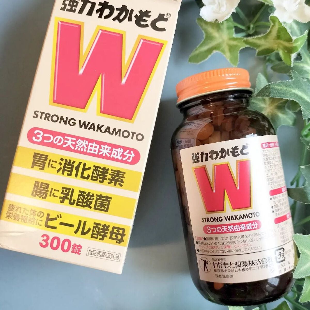 強力わかもと/わかもと製薬/健康サプリメントを使ったクチコミ(1枚目)