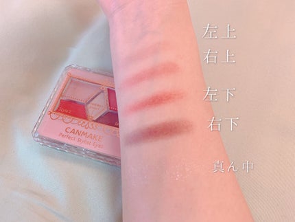 【旧品】パーフェクトスタイリストアイズ/キャンメイク/アイシャドウパレットを使ったクチコミ(5枚目)