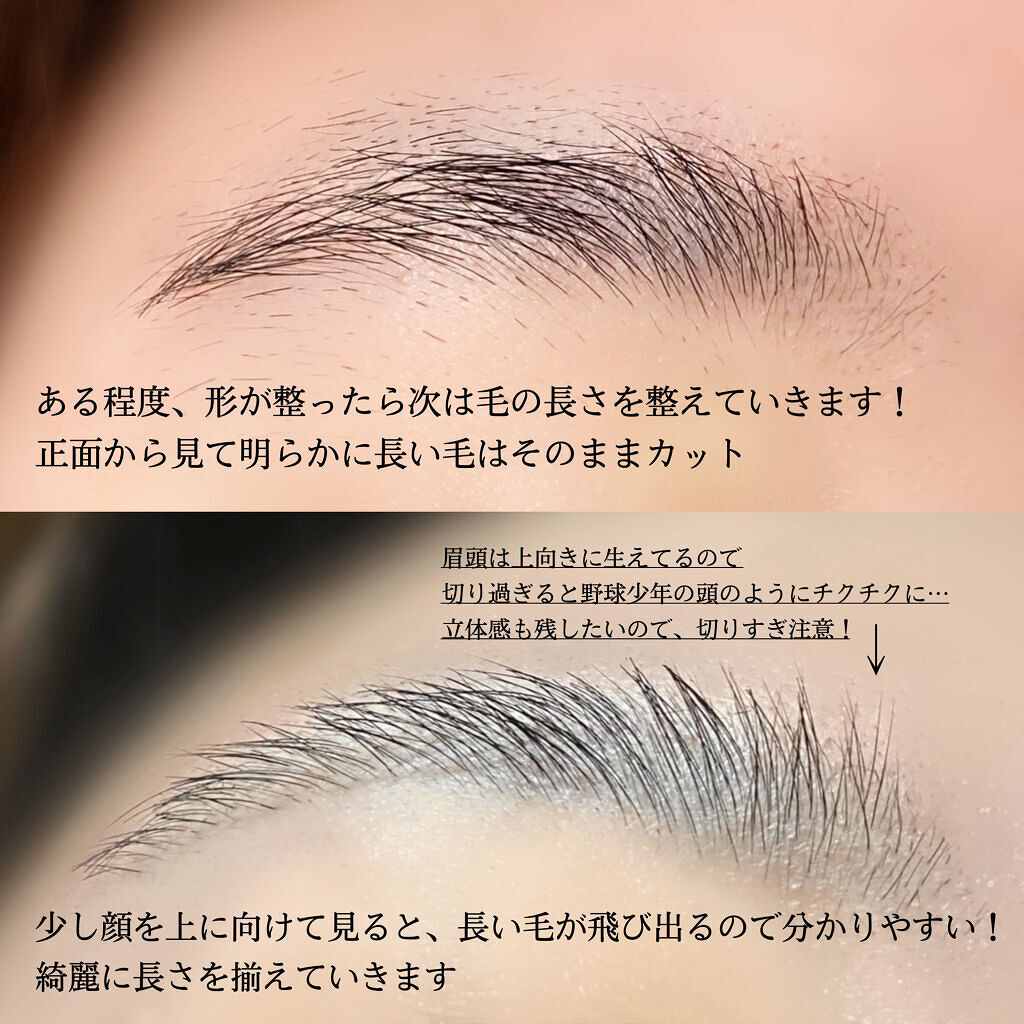 フェリエ フェイス用 Es Wf41 Panasonicの口コミ 長い 太い剛毛眉毛の整え方 以前 自眉 By るん 乾燥肌 Lips