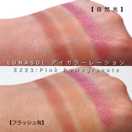 アイカラーレーション/LUNASOL/アイシャドウパレットを使ったクチコミ(6枚目)