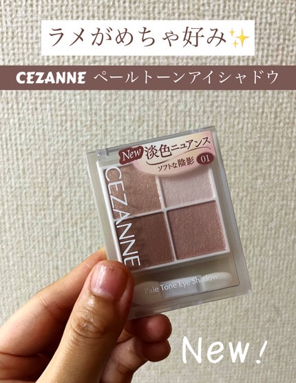 ペールトーンアイシャドウ/CEZANNE/アイシャドウを使ったクチコミ(1枚目)
