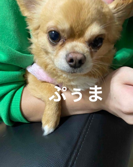 ジルスチュアート リップバーム/JILL STUART/リップバームを使ったクチコミ(4枚目)