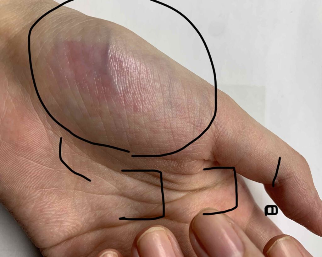 ラスティングフィニッシュ ティントリップ/リンメル ロンドン/リップティントを使ったクチコミ（3枚目）