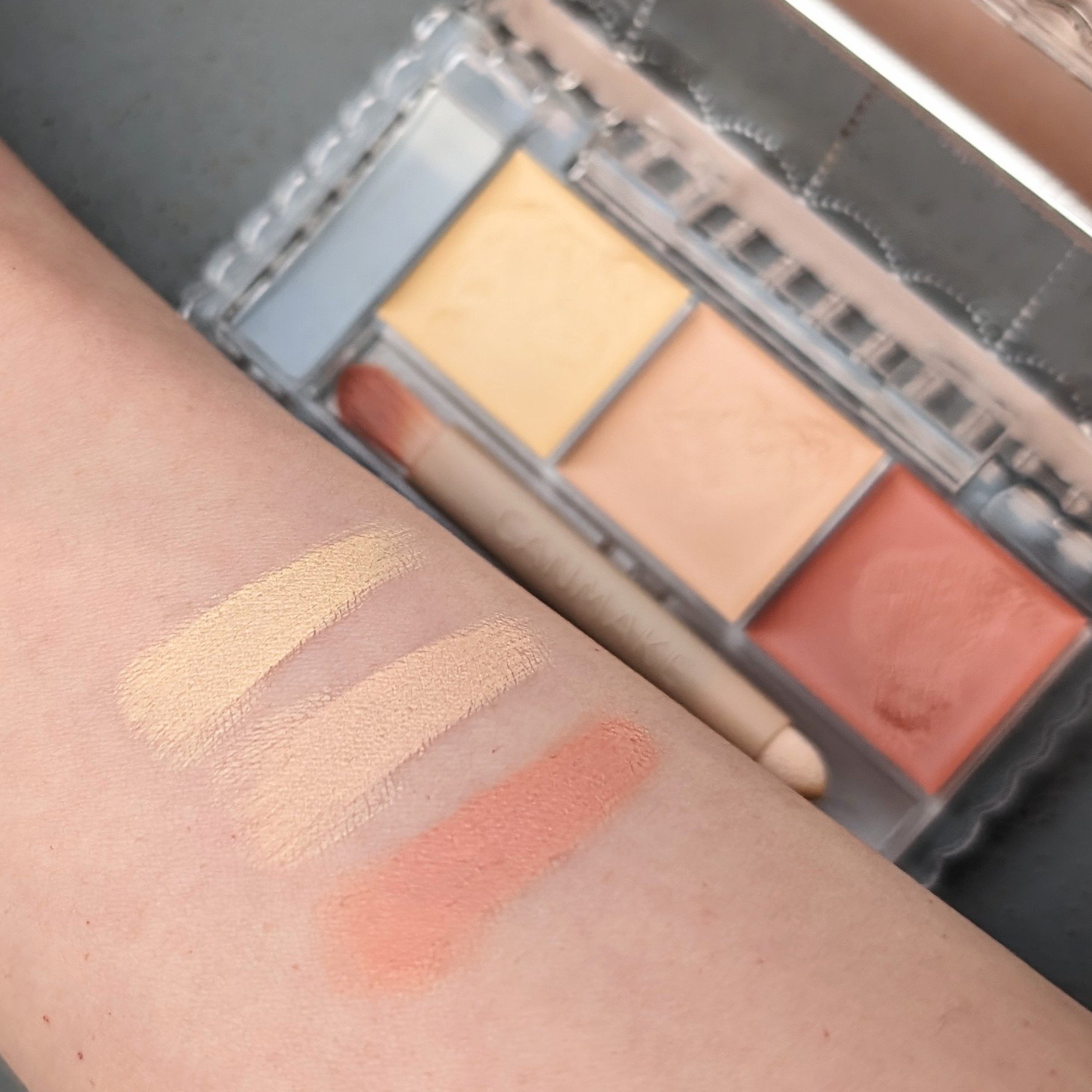 カラーミキシングコンシーラー/キャンメイク/パレットコンシーラーを使ったクチコミ（1枚目）