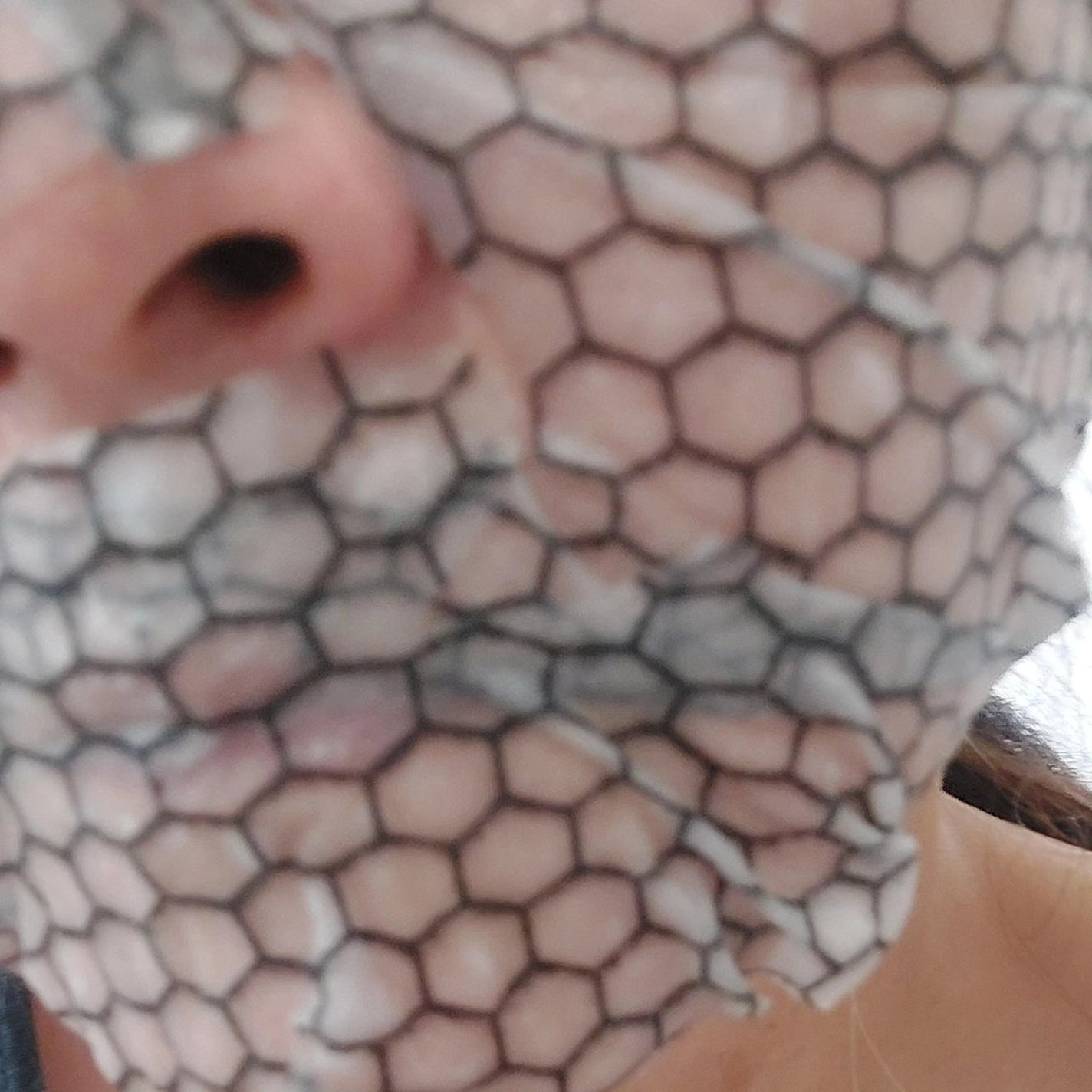 美電流マスク/Natuore Recover/シートマスク・パックを使ったクチコミ(6枚目)