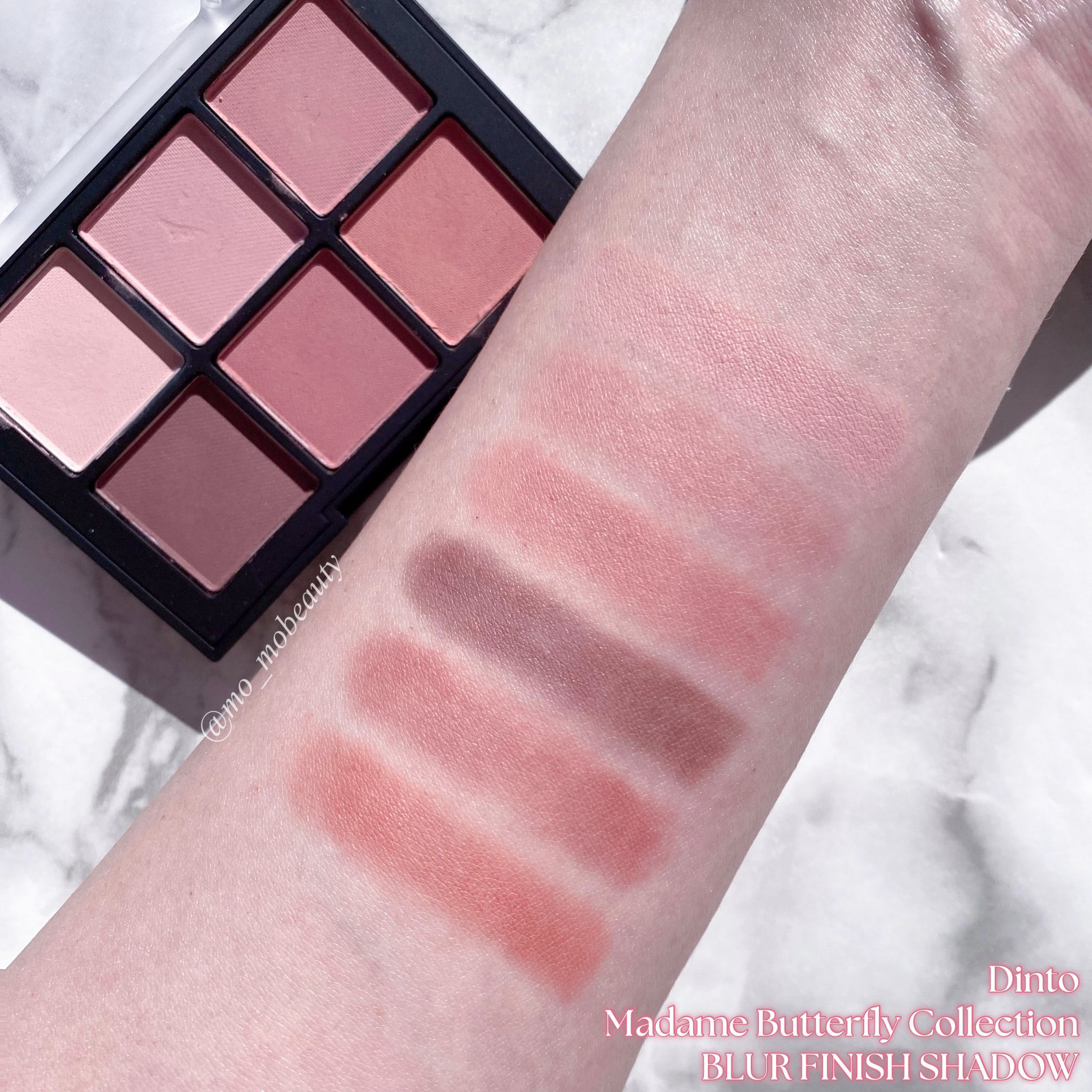 マダムバタフライコレクション ブラーニングリップベール/Dinto/口紅を使ったクチコミ（3枚目）