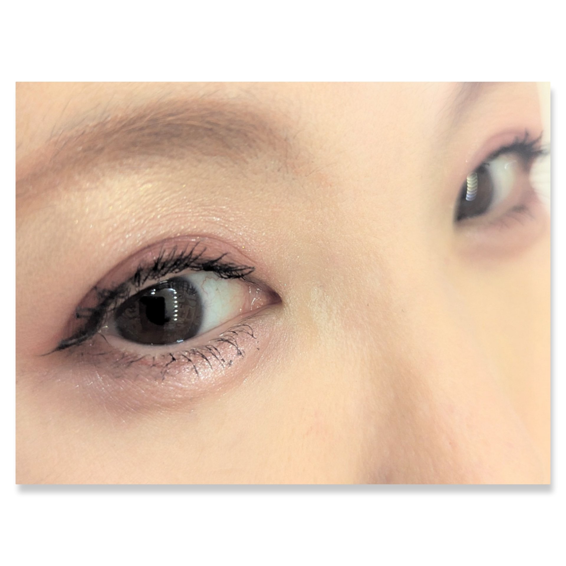 パーフェクトマルチアイズ/キャンメイク/アイシャドウパレットを使ったクチコミ（2枚目）