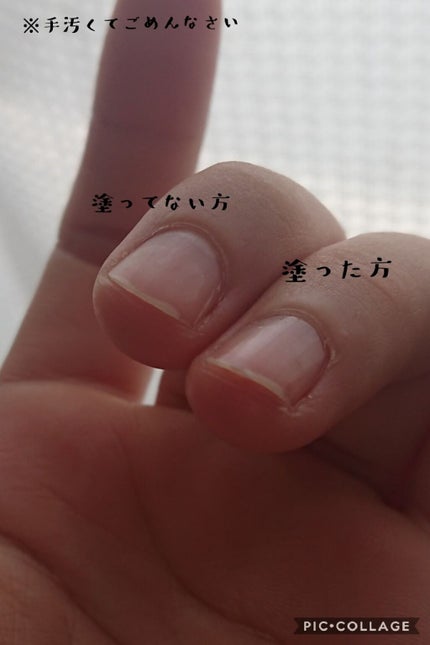 ビューティー ネイル ケア&コート/キャンメイク/ネイルオイル・トリートメントを使ったクチコミ(2枚目)