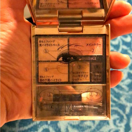 トゥルーアイシャドー/マキアージュ/アイシャドウパレットを使ったクチコミ(2枚目)