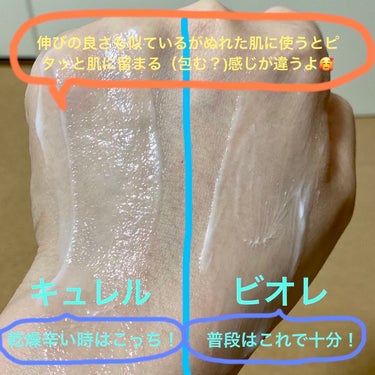 ザ ボディ ぬれた肌に使うボディ乳液 ナチュラルシトラスティーの香り つりさげパック(つけかえ用)/ビオレu/ボディミルクの画像