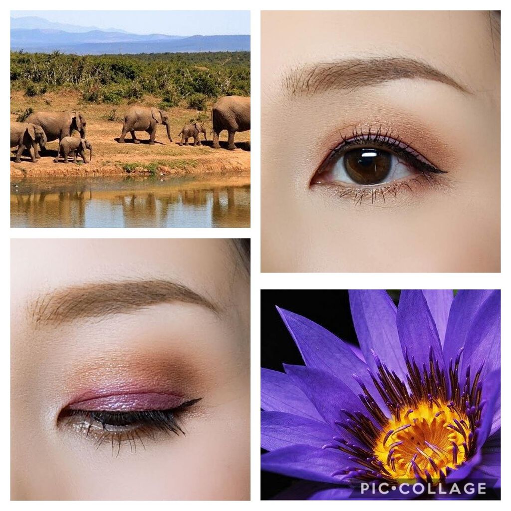 アイ カラー クォード/TOM FORD BEAUTY/アイシャドウパレットを使ったクチコミ（2枚目）