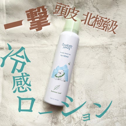 ワンダーハニー フローズンヘッドジェット サマーリーフ/VECUA Honey/頭皮ローションを使ったクチコミ(1枚目)