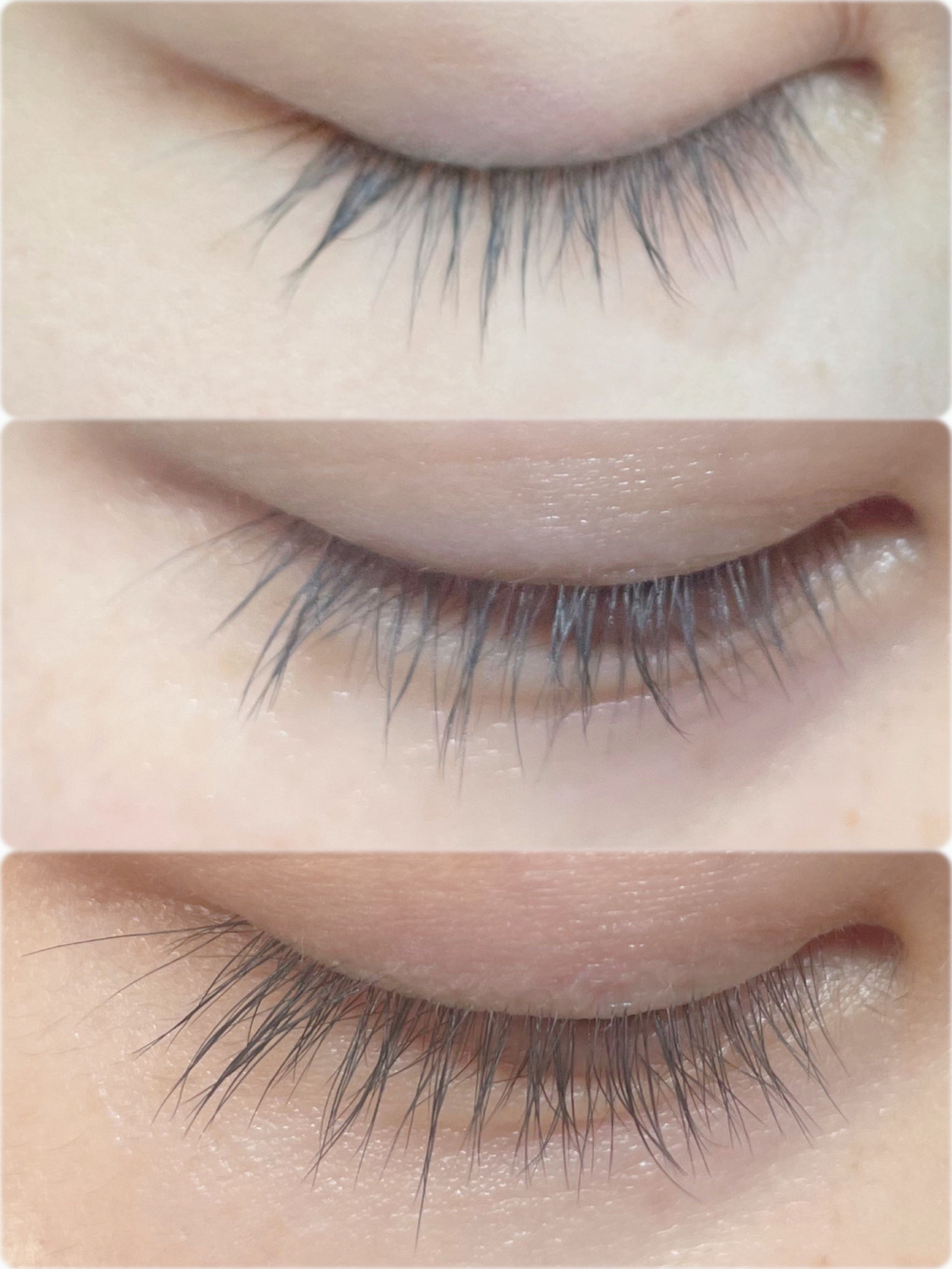 BONNY LASHES｜FABIUSの口コミ - ⚪️ BONNY LASHES⚪️ by yuka117ks