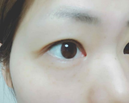 しなやかフィット/DAISO/二重まぶた用アイテムを使ったクチコミ(2枚目)