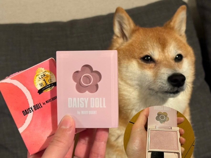 ミニディタングラー/ウェットブラシ/ヘアブラシを使ったクチコミ(6枚目)