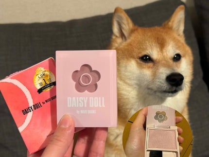 ミニディタングラー/ウェットブラシ/ヘアブラシを使ったクチコミ(6枚目)