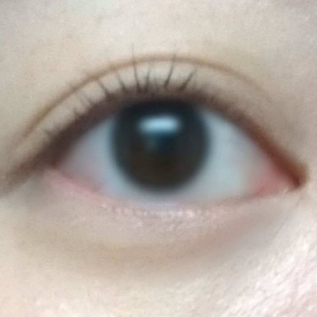 ラッシュリタッチャー/IPSA/マスカラを使ったクチコミ(4枚目)