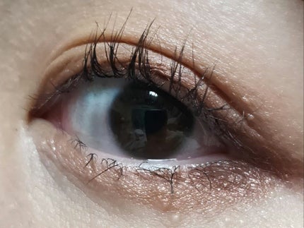 パーツリサイズシャドウ/KATE/アイシャドウパレットを使ったクチコミ(4枚目)