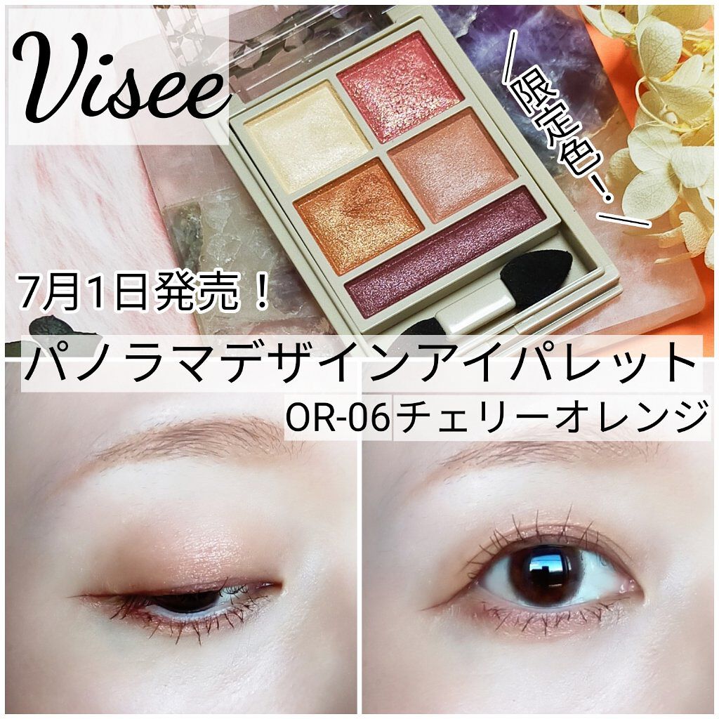 パノラマデザイン アイパレット/Visée/アイシャドウパレットを使ったクチコミ（1枚目）