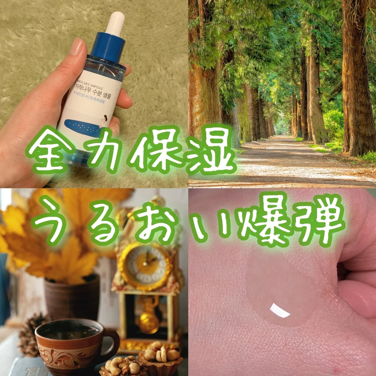 白樺水分セラム/ROUND LAB/美容液を使ったクチコミ（1枚目）