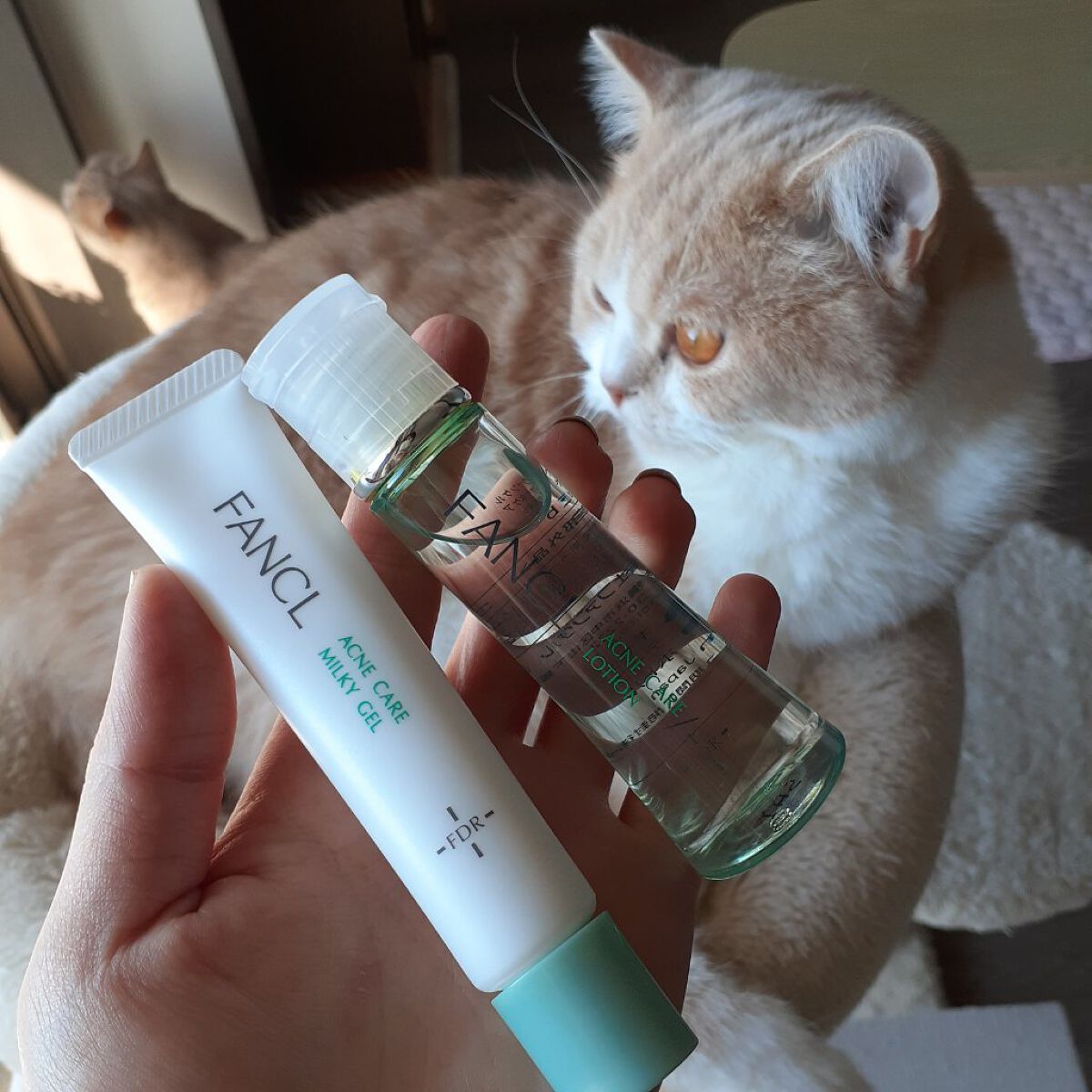 アクネケア ジェル乳液 <医薬部外品>/ファンケル/乳液を使ったクチコミ(6枚目)