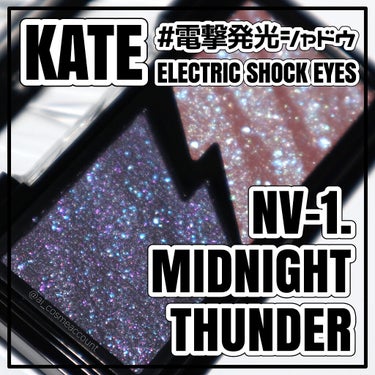 エレクトリックショックアイズ  NV-1:ミッドナイトサンダー/KATE/アイシャドウパレットを使ったクチコミ（1枚目）