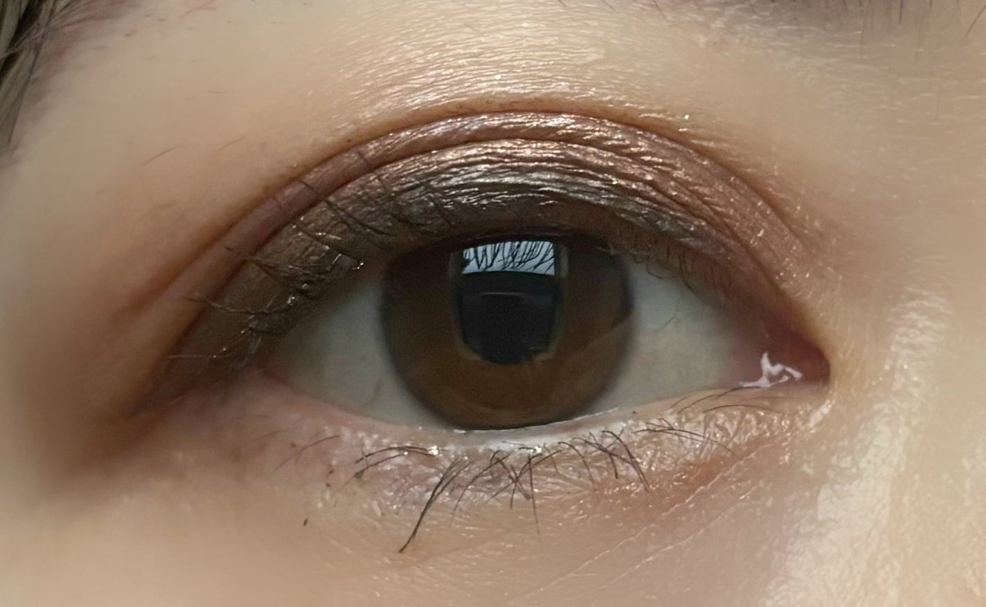 シェイク ユア パーム パームズ ミニ アイシャドウ パレット/Too Faced/アイシャドウパレットを使ったクチコミ(3枚目)